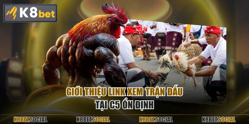 Giới thiệu link xem trận đấu tại C5 ổn định