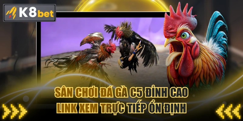 Sân Chơi Đá Gà C5 Đỉnh Cao - Link Xem Trực Tiếp Ổn Định