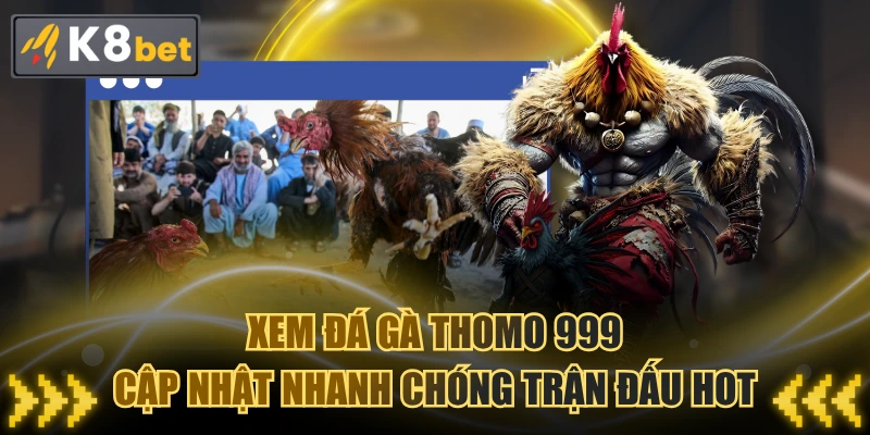 Xem Đá Gà Thomo 999 - Cập Nhật Nhanh Chóng Trận Đấu Hot